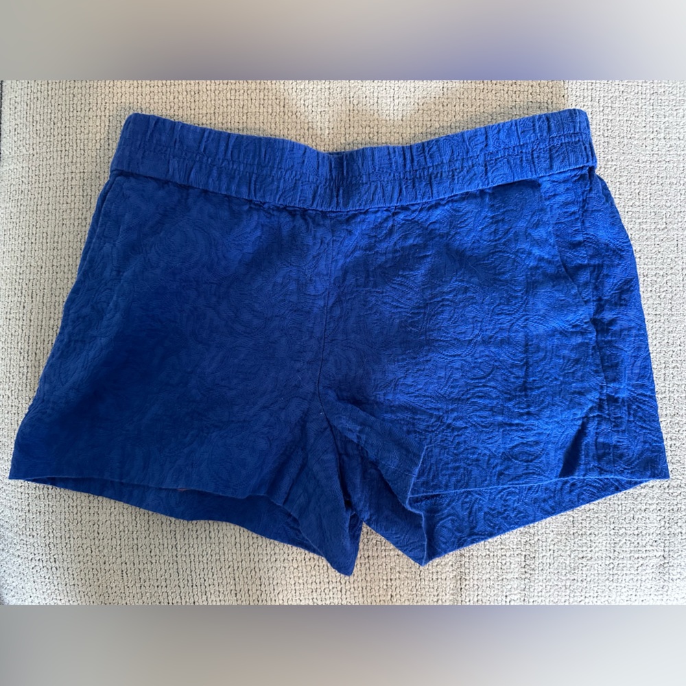 Blue Textured Shorts